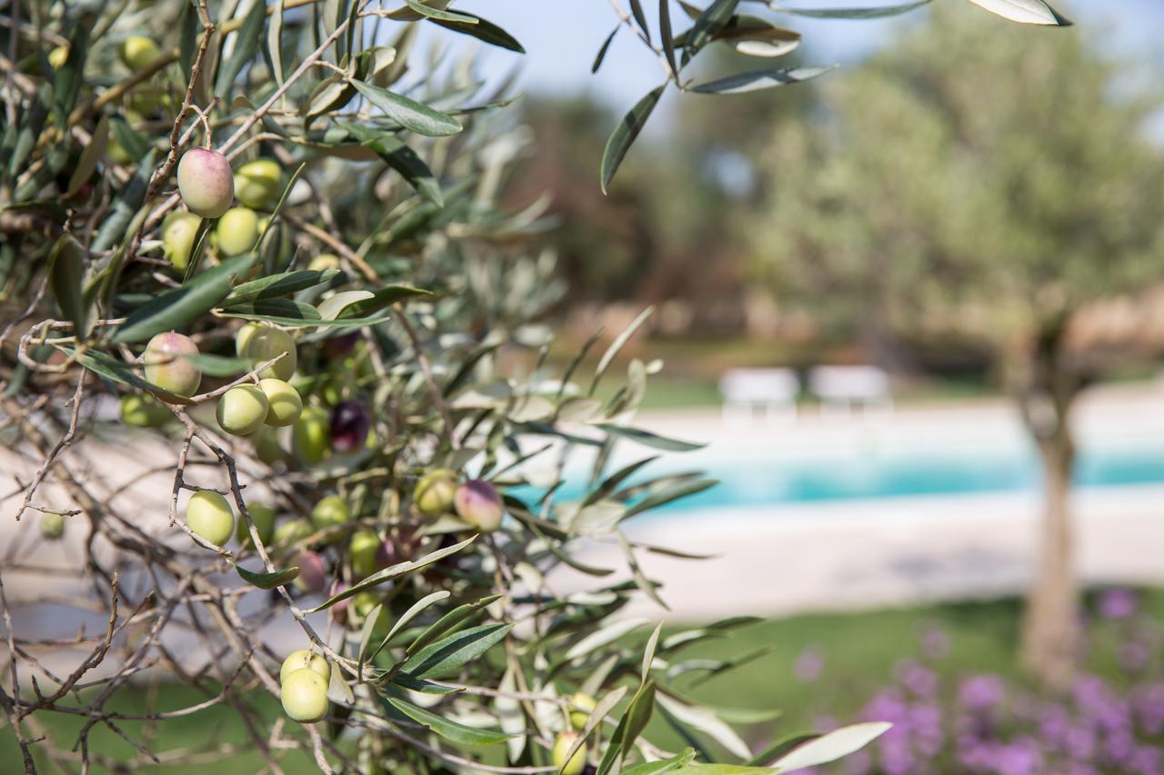 Masseria Saietti Ruffano Exterior foto